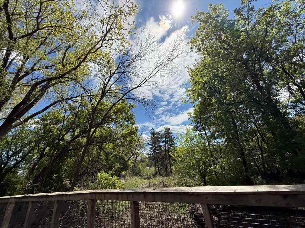 walking near me in Bredesen Park in spring