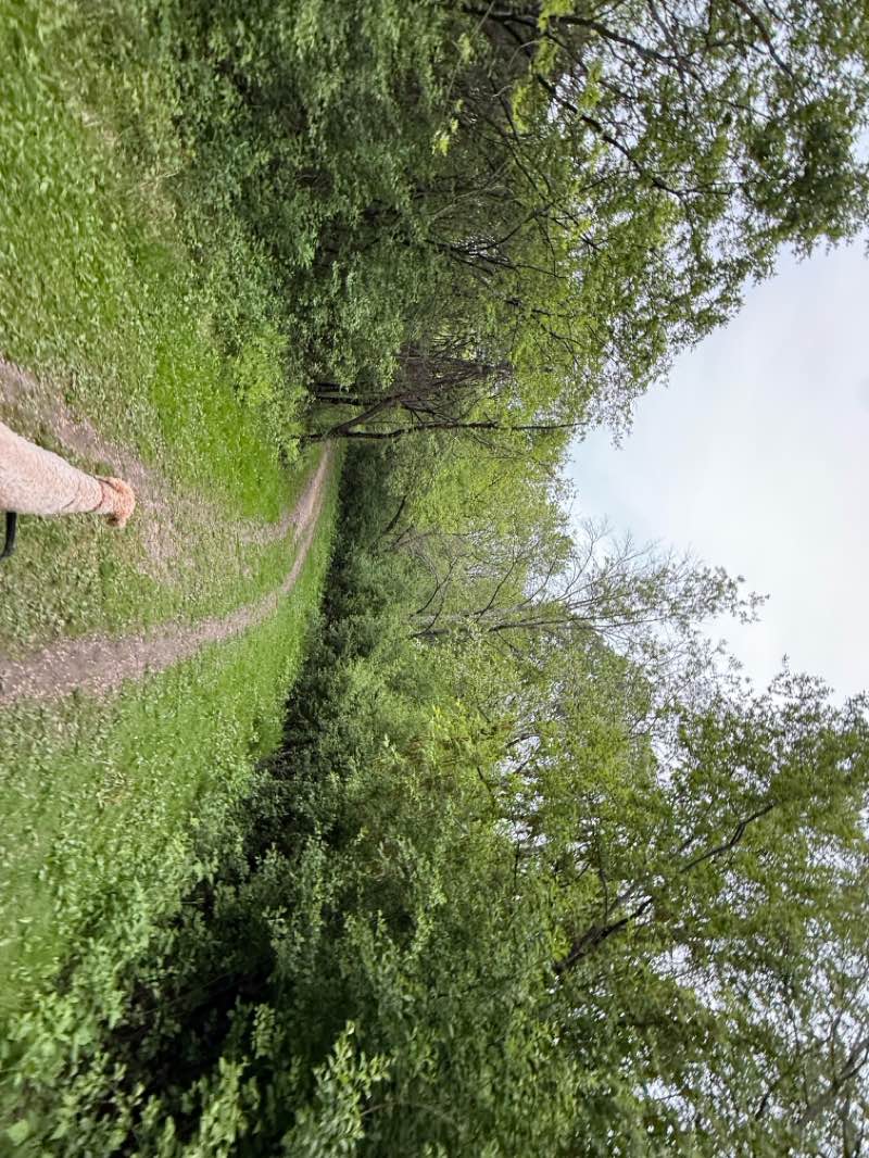 walking near me in Clifton E. French Regional Park in summer