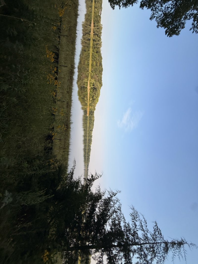 walking near me in Hyland Lake Park Reserve in summer