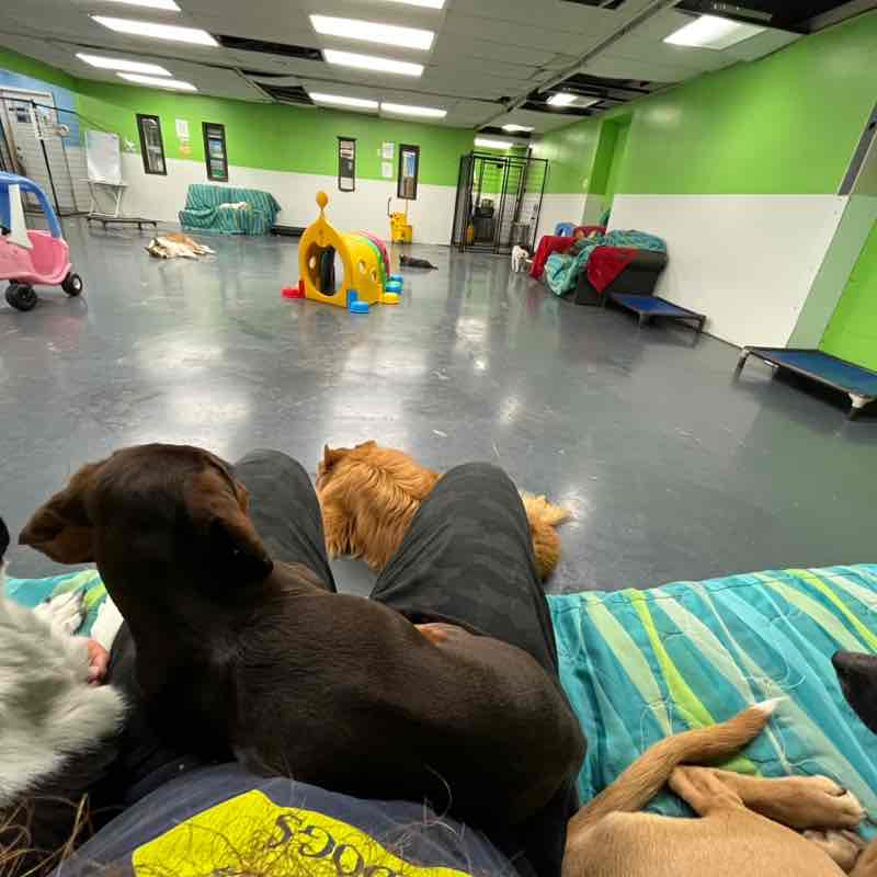 Simon Burgess post 2