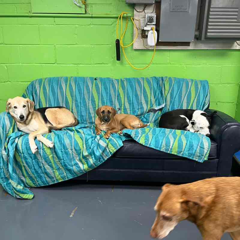 Simon Burgess post 3