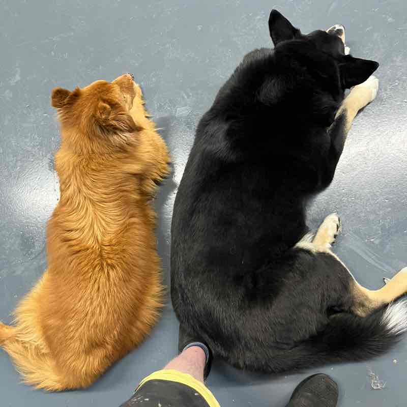 Simon Burgess post 3