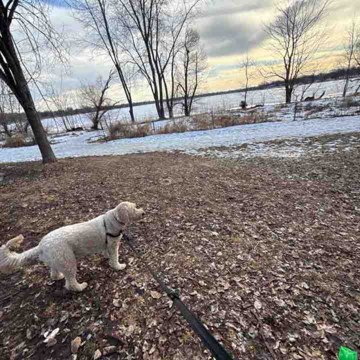 Simon Burgess post 1