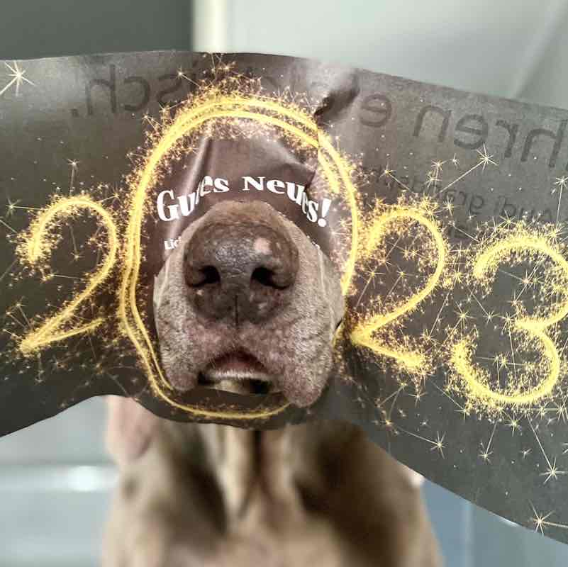 FUN Pacer girl 63 post image