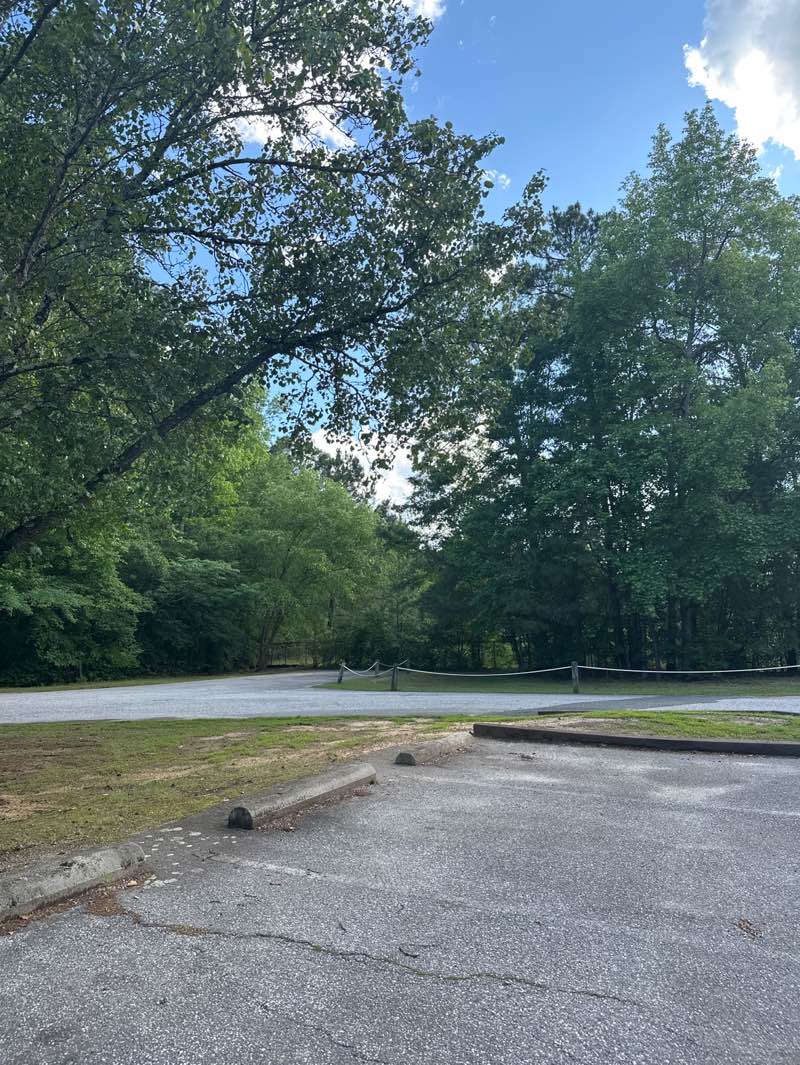 walking near me in Springfield Park in spring