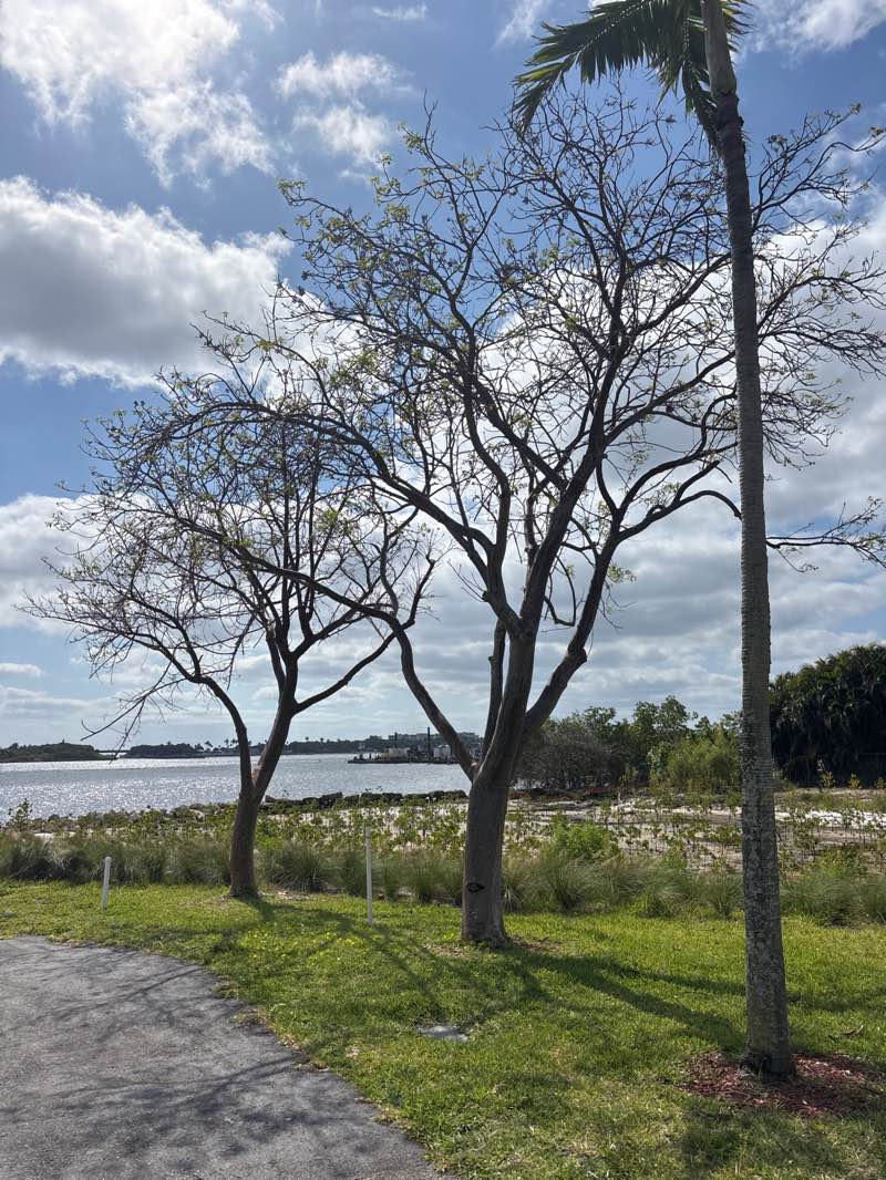 walking near me in Intracoastal Park in spring