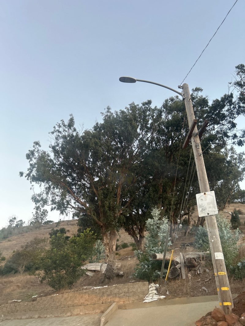 walking near me in Sign Hill Park in autumn