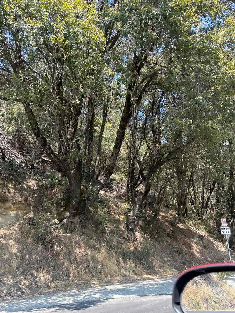 walking near me in Sugarloaf Mountain in autumn