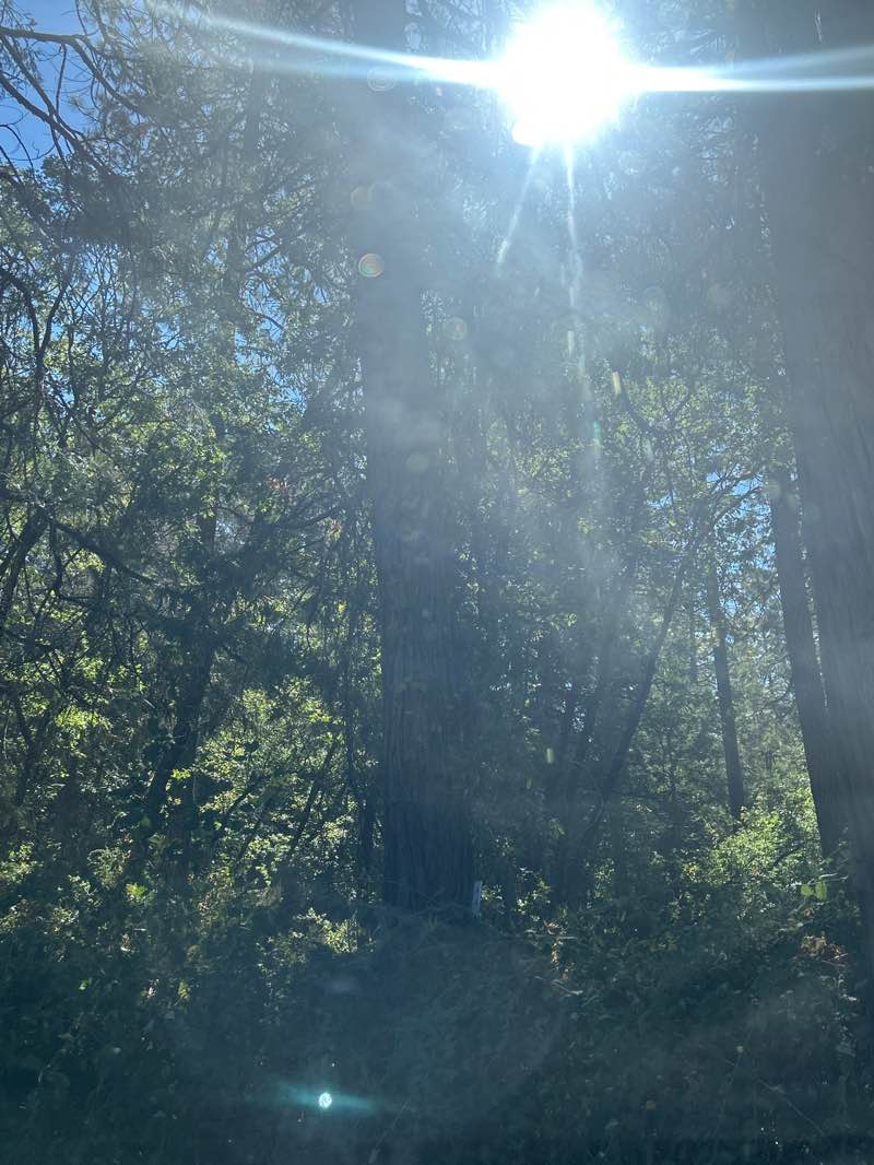 walking near me in Empire Mine State Historic Park in autumn