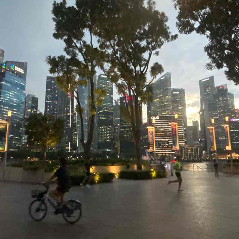 COCO shanghai  post 1