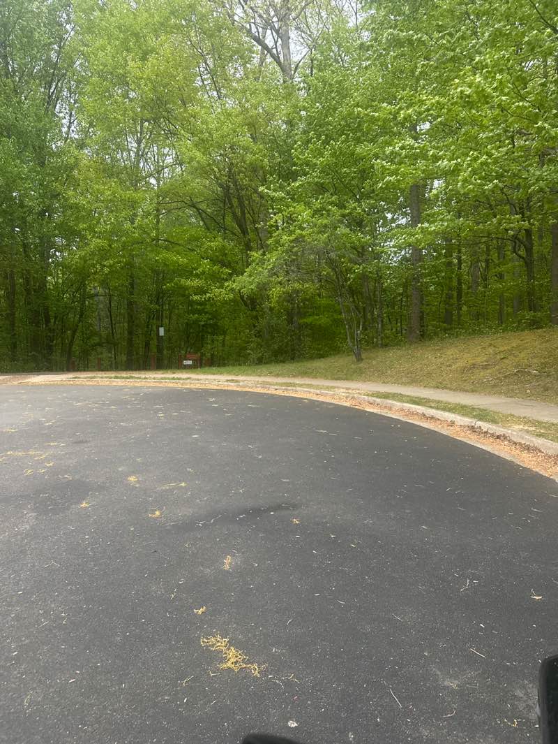 walking near me in Huntsman Park in spring