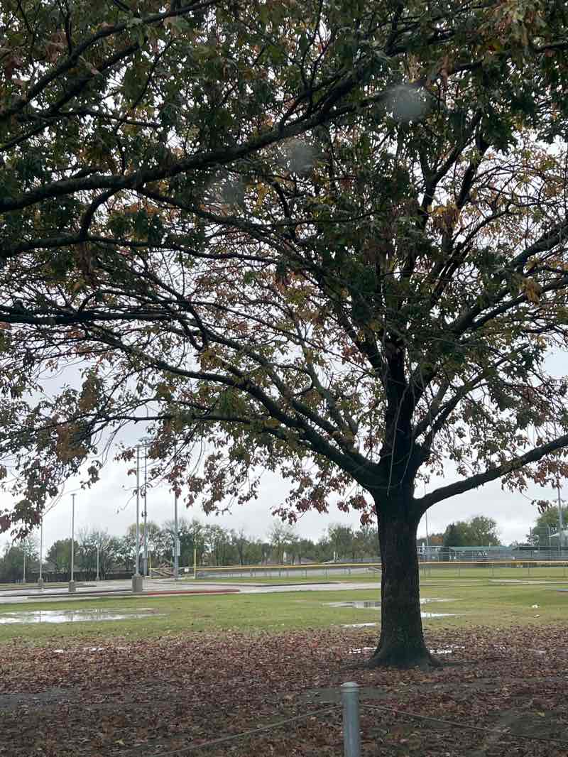 walking near me in Wylie Community Park in autumn