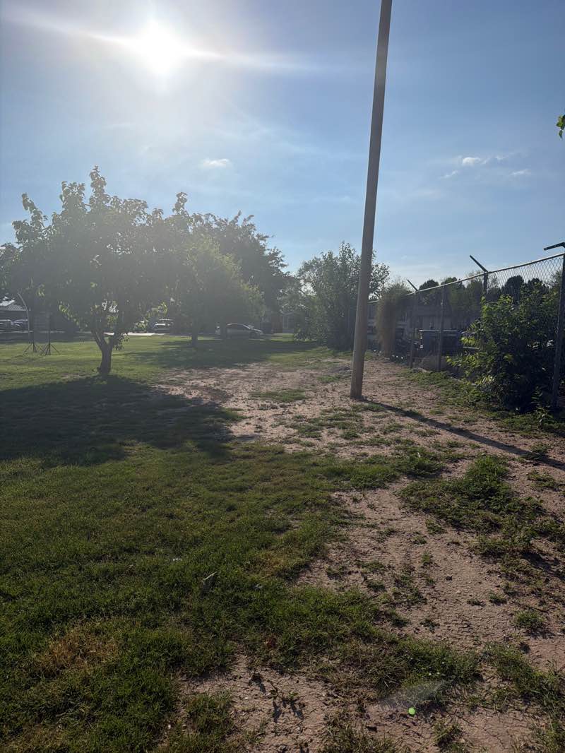 walking near me in Cass Park in summer