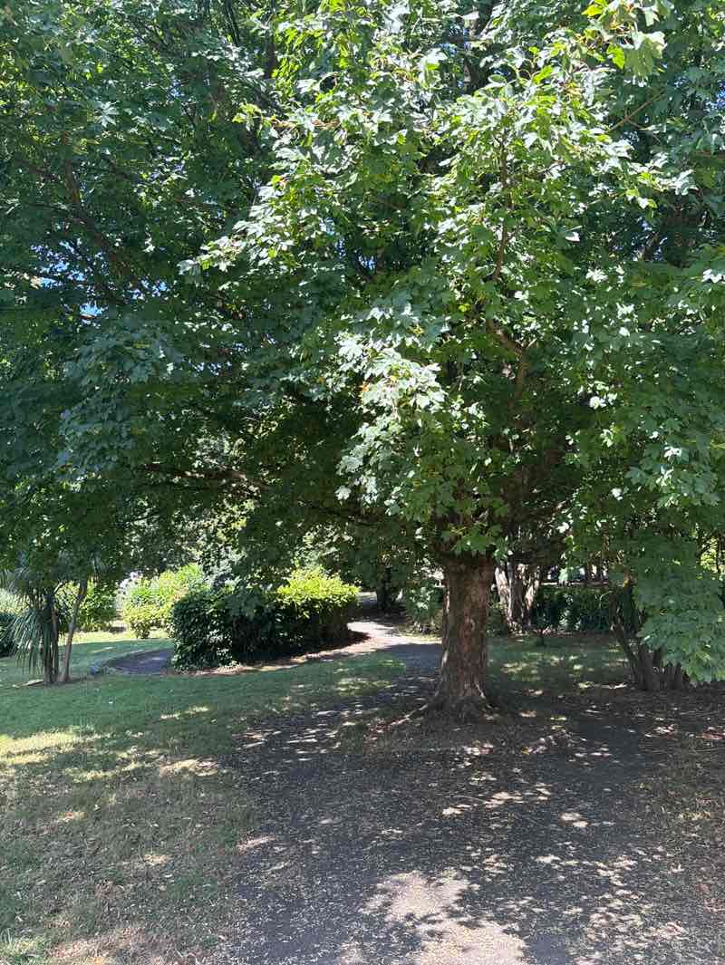 walking near me in Thorn Park in autumn