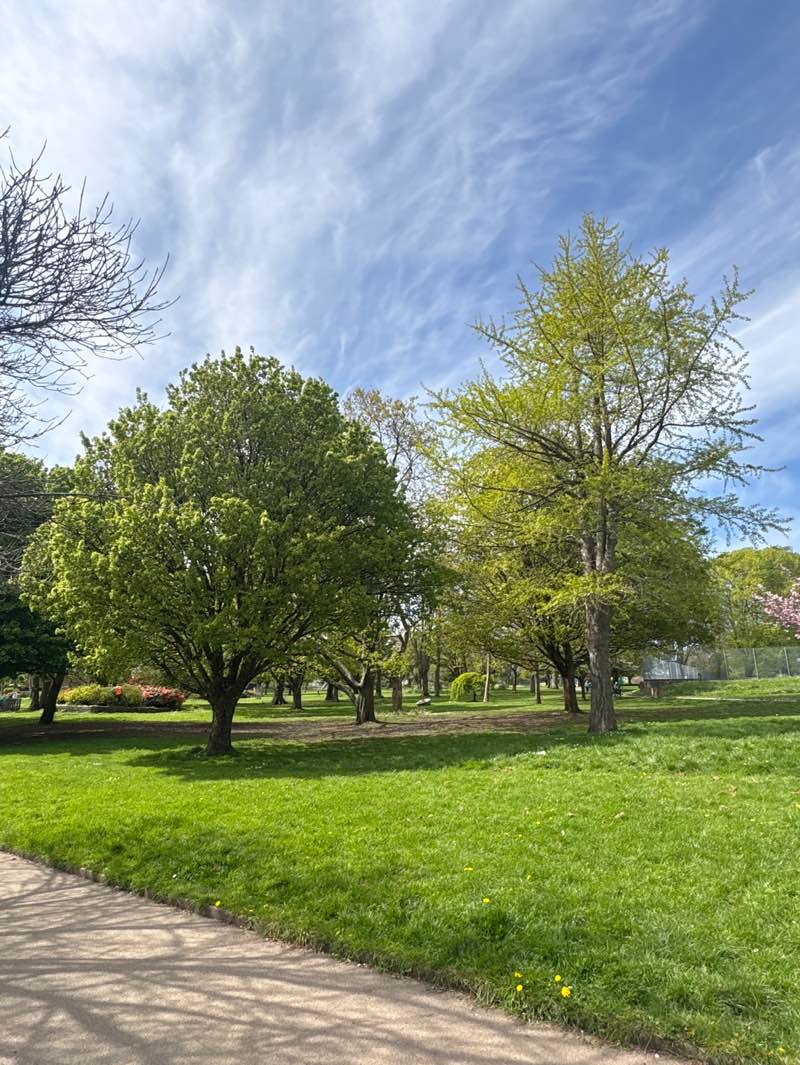 walking near me in Devonport Park in spring