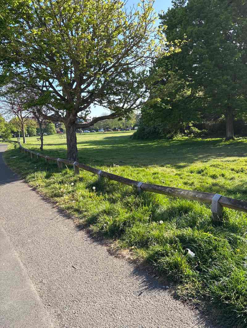 walking near me in Caffyn's Field in spring
