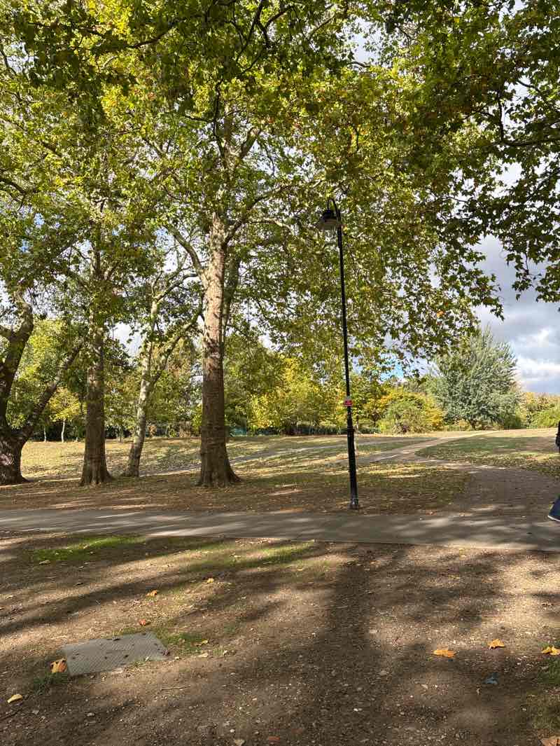 walking near me in Finsbury Park in autumn
