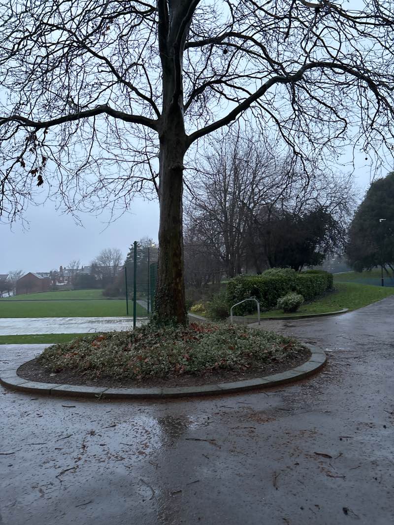 walking near me in Mount Pleasant Park in winter