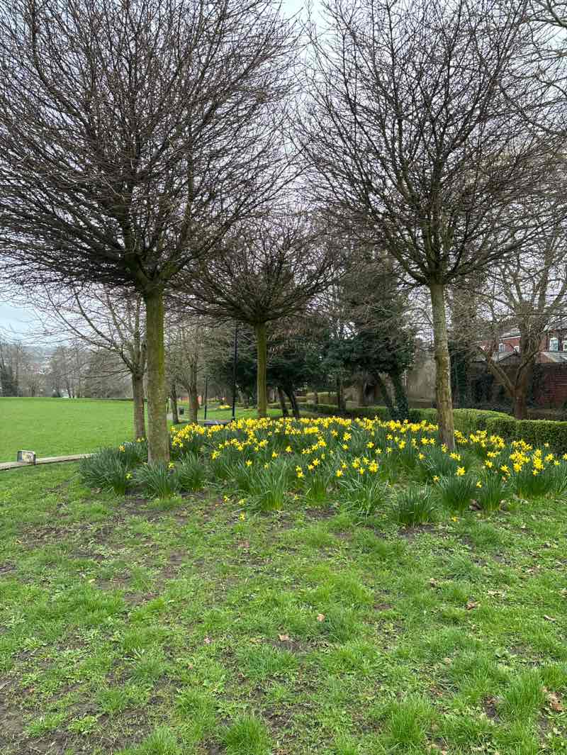 walking near me in Mount Pleasant Park in spring