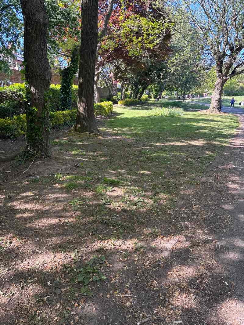 walking near me in Mount Pleasant Park in spring