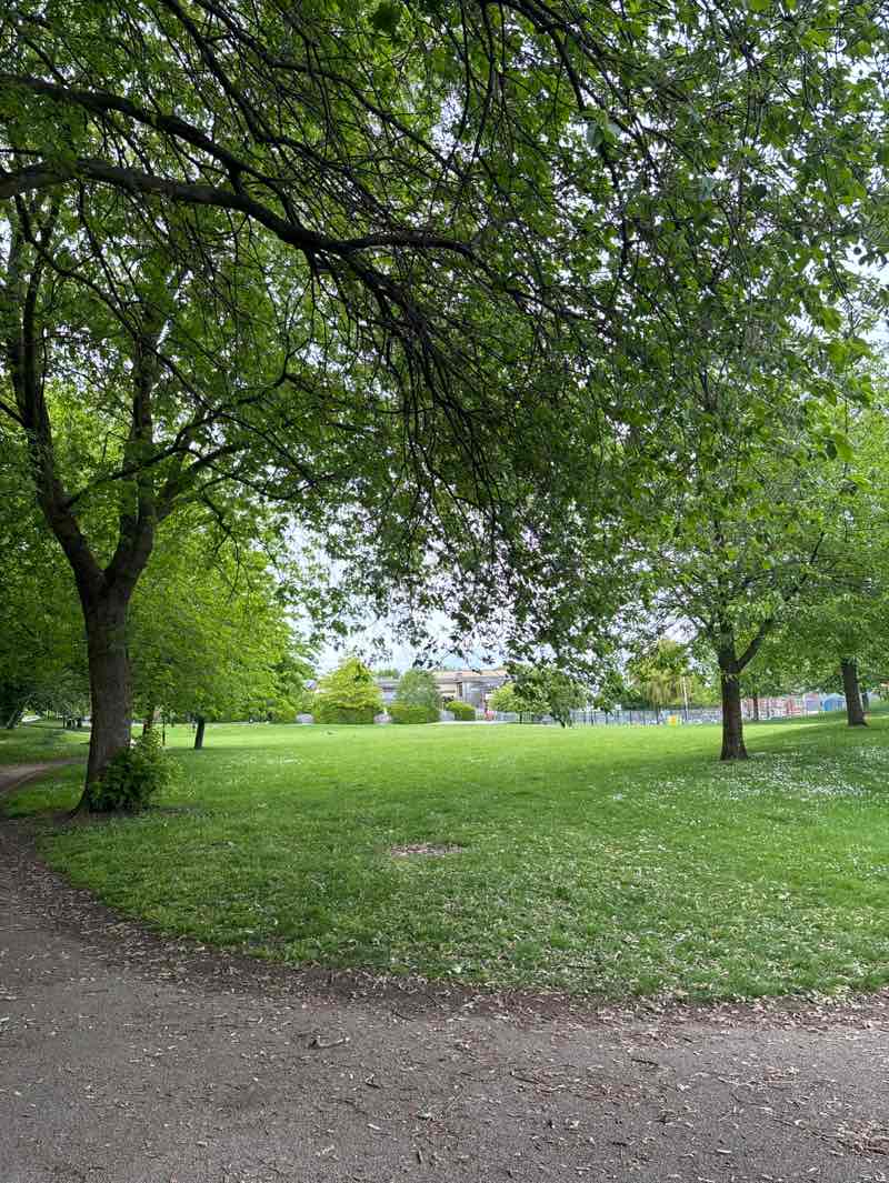 walking near me in Mount Pleasant Park in summer