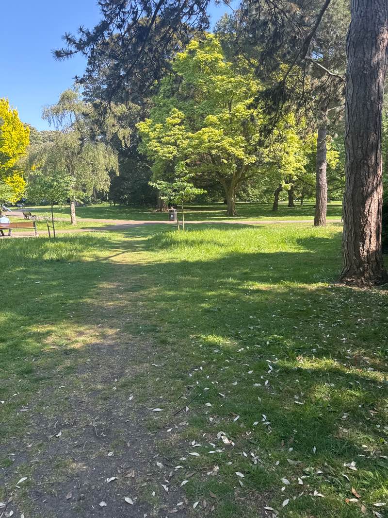 walking near me in Henrietta Park in spring