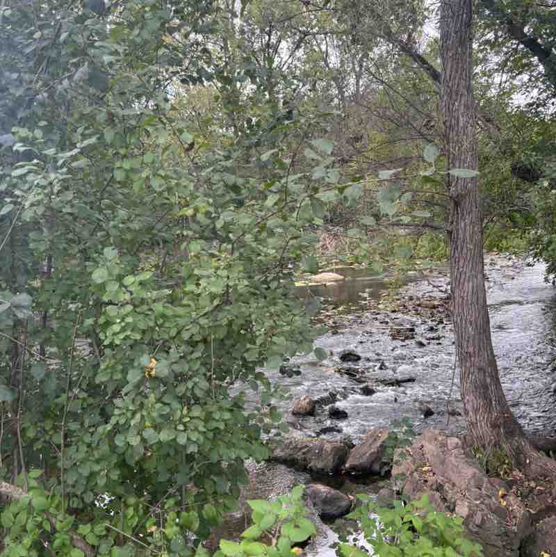 Veronica Dawn post 1