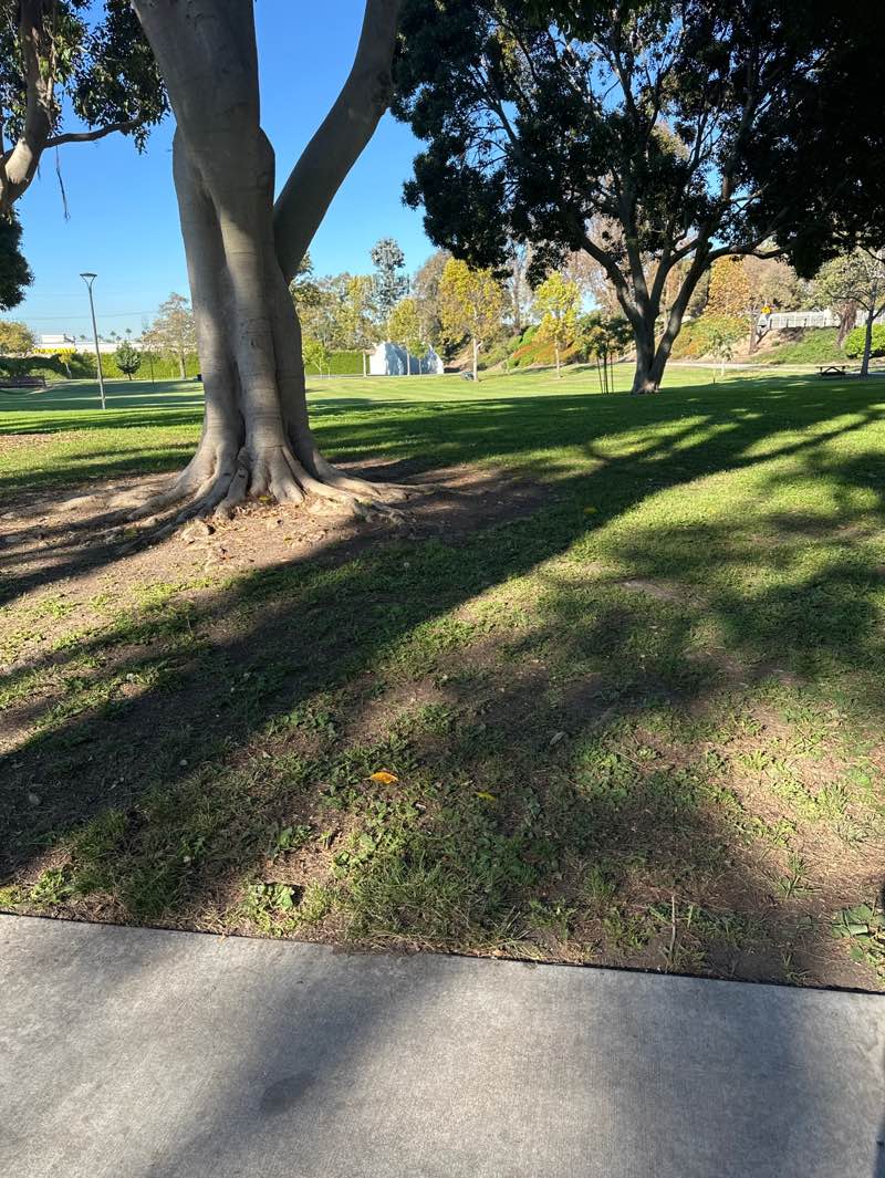 walking near me in Shiffer Park in autumn