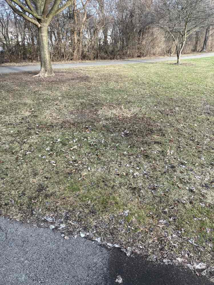 walking near me in Big Woods Park in spring