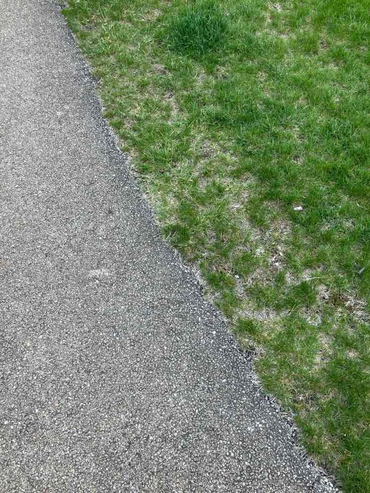 walking near me in H. Michael Wild Park in spring