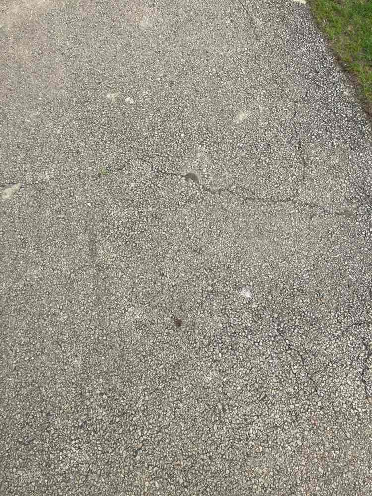 walking near me in Clark Island Recreation Area in spring