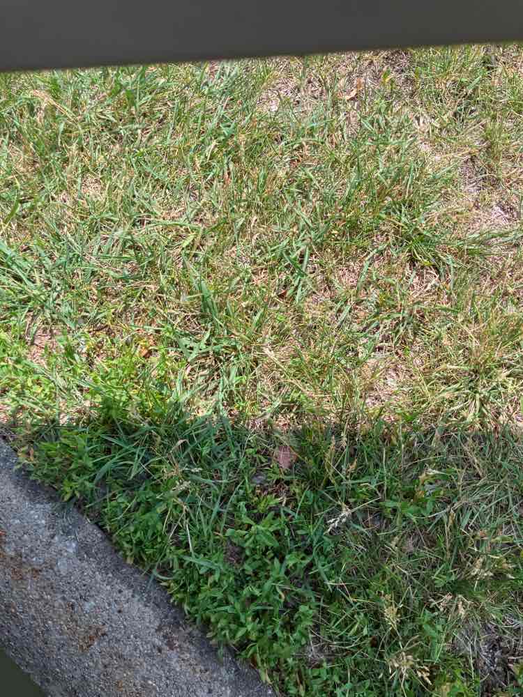 walking near me in Highland Park in summer