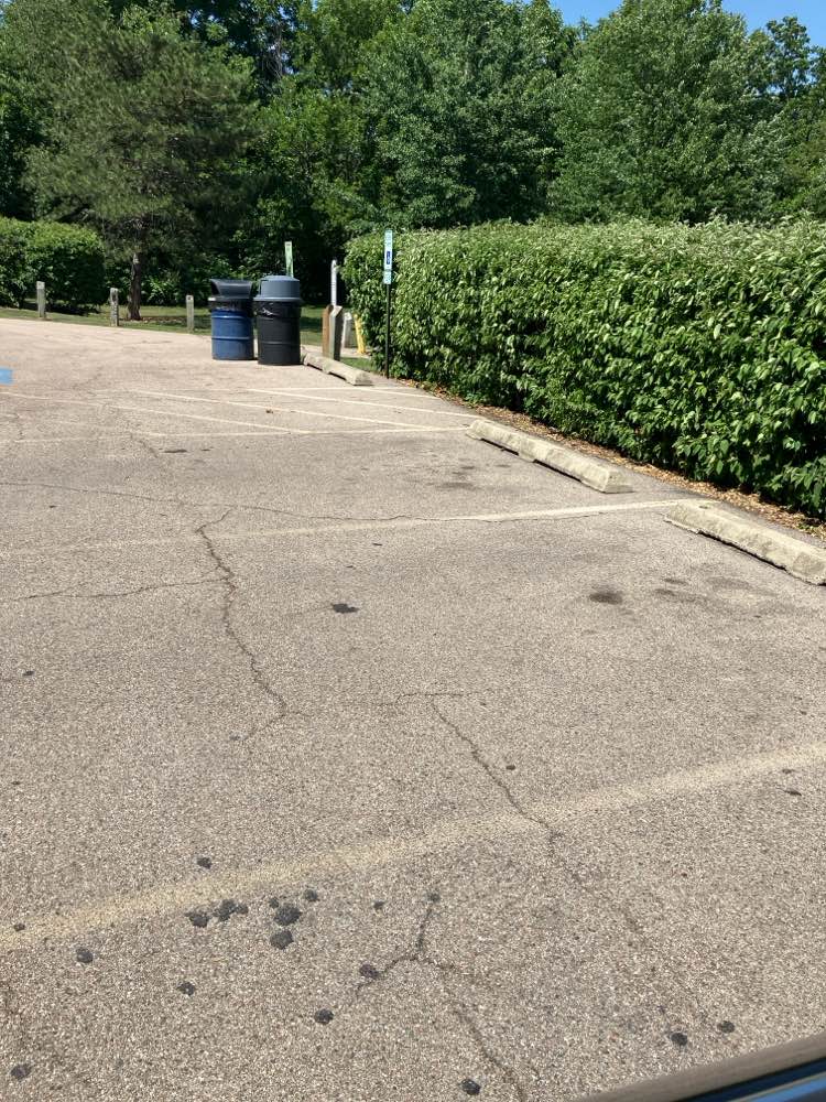 walking near me in Delnor Woods Park in summer