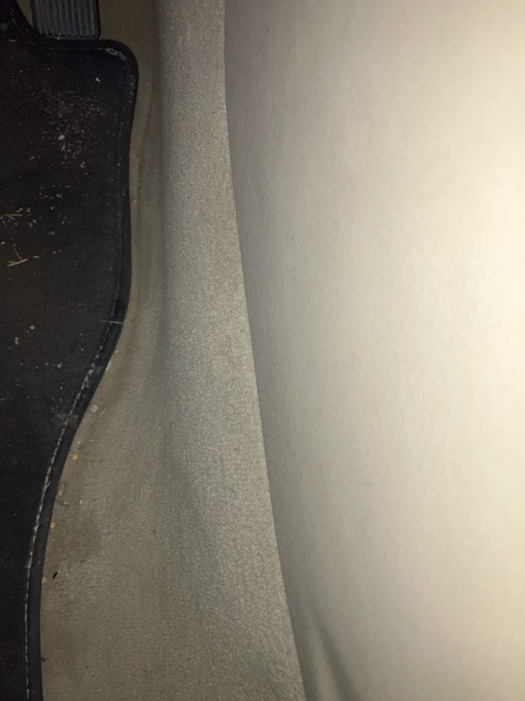 walking near me in Slepicka Park in winter