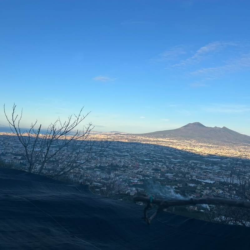 Amici miei Consiglia post image