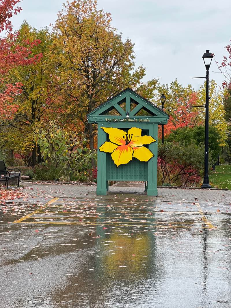 walking near me in Dominion Gardens Park in autumn