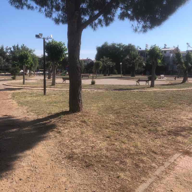 Morelli post 1