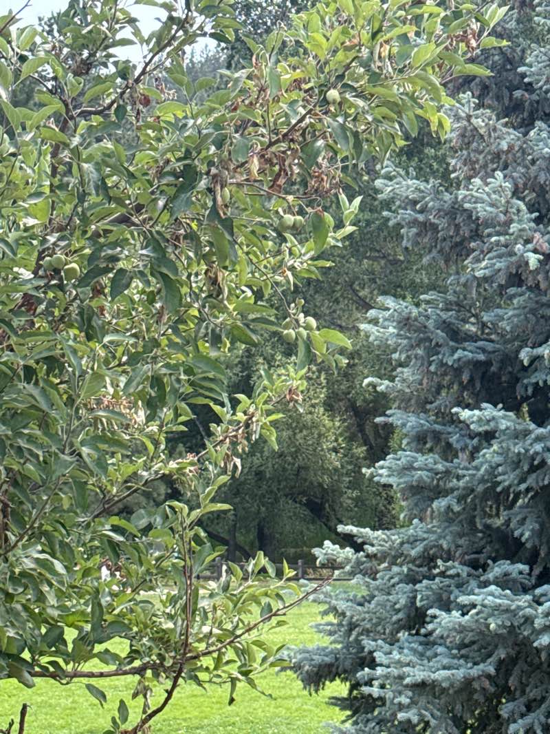 walking near me in Kittredge Park and Playground in summer