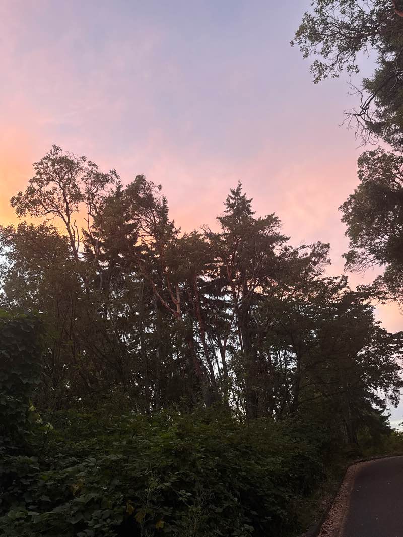 walking near me in Westcrest Park in autumn