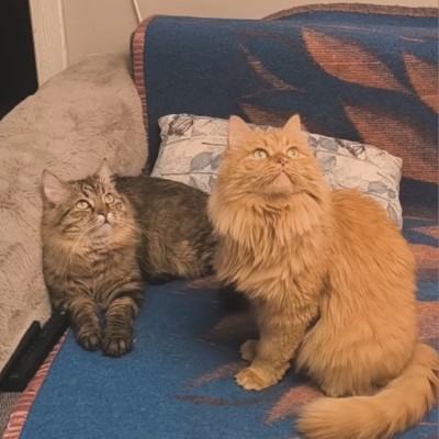 💃💃💃ЛАРИСА💃💃💃 post 1