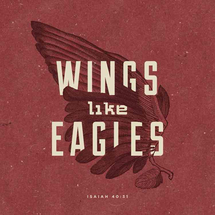 Faith.Fit.Focused Ciearra post image