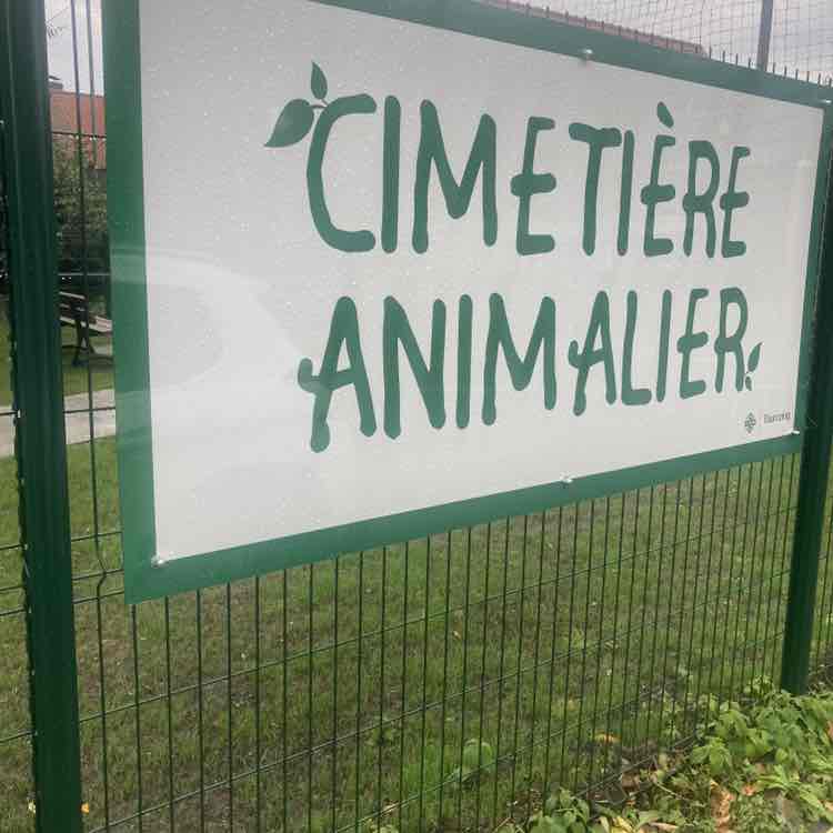 La marche, le plein d énergie PAPYMOUZO post image