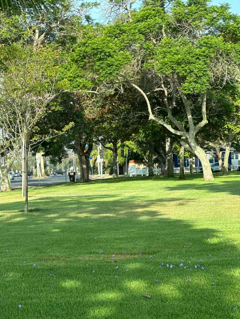 walking near me in Whaley Park in summer