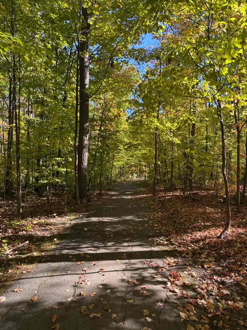 walking near me in Bayshire Woods Park in autumn