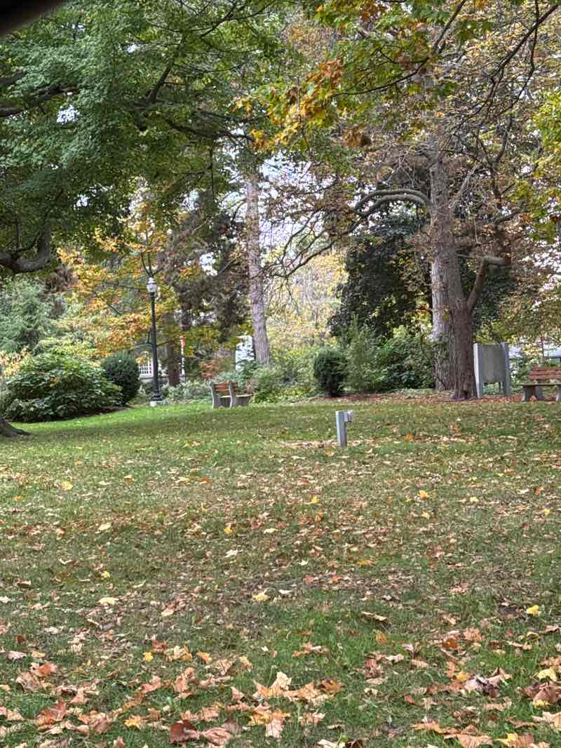 walking near me in George's Square in autumn