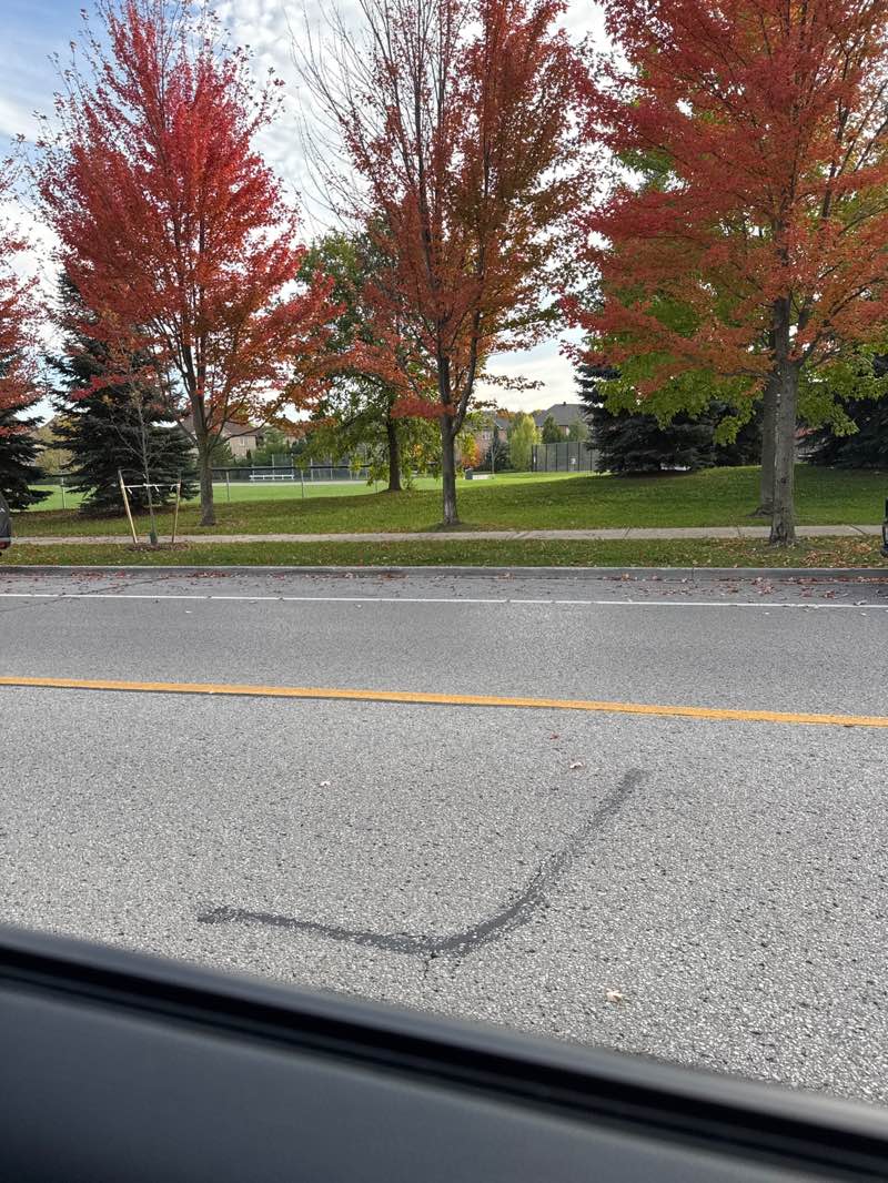 walking near me in Ohr Menachem Park in autumn