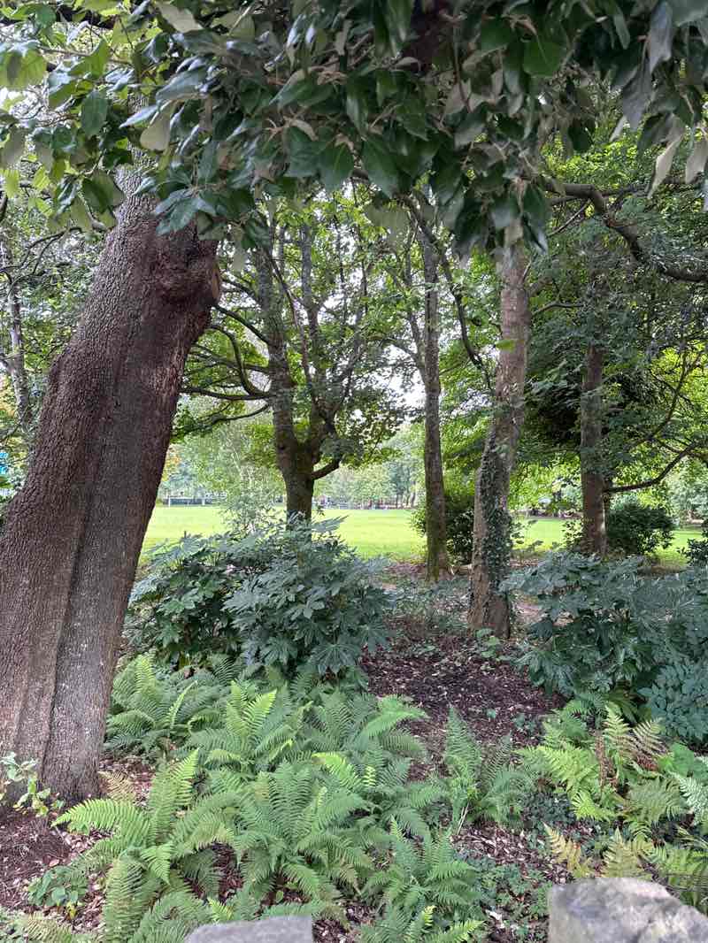 walking near me in College Park in autumn