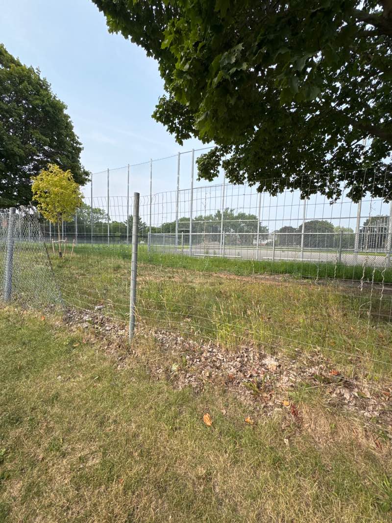 walking near me in Skyway Park in autumn