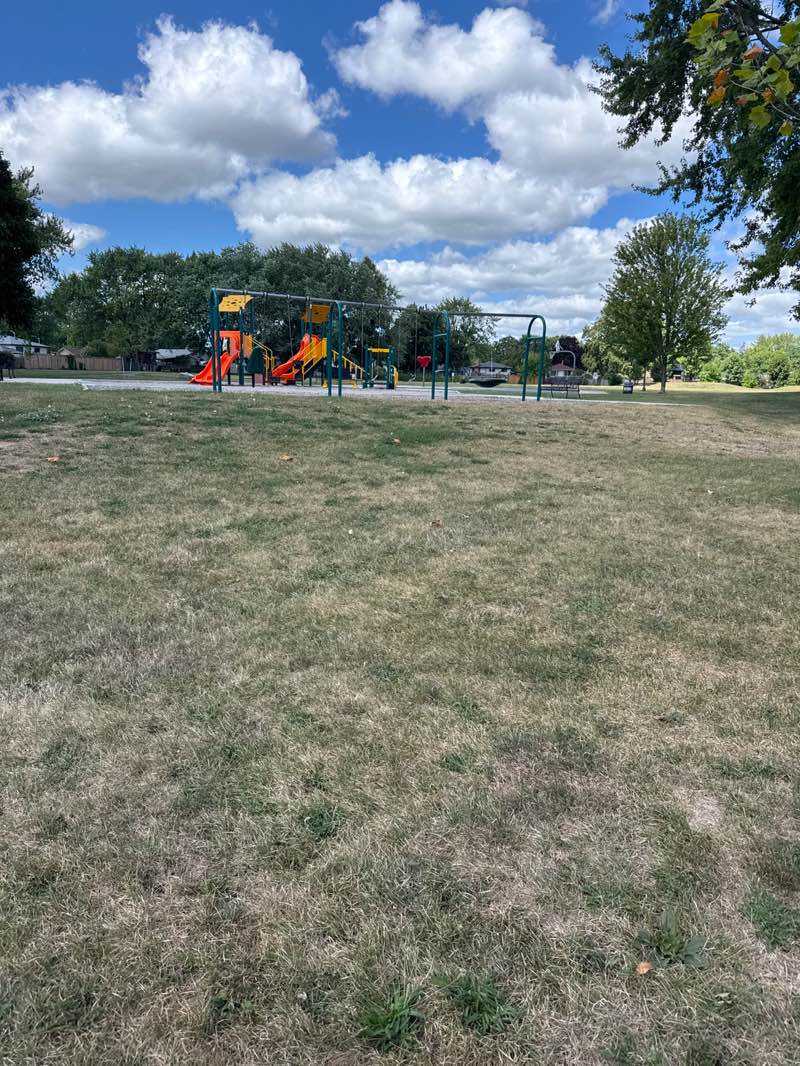 walking near me in Longmoor Park in autumn