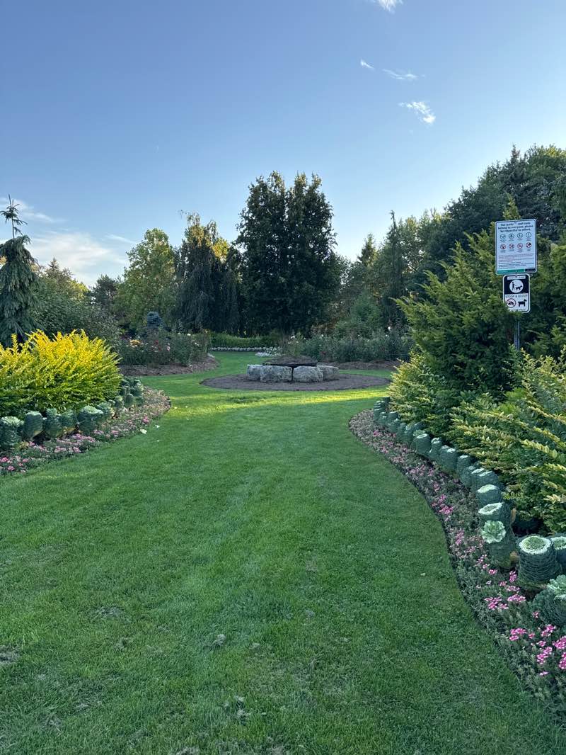 walking near me in Shell Park in autumn
